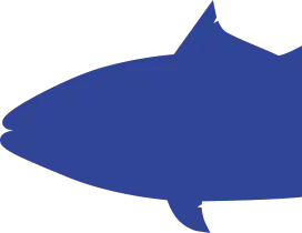 Right fish silhouette